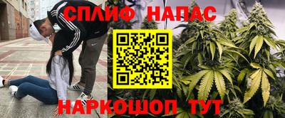 МДПВ Моздок